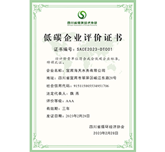 AAA级低碳彩运网